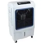 Dial Manufacturing 2200-CFM 3-Speed Indoor/Outdoor Portable Evaporative Cooler for 700-sq ft (Motor Included)