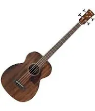 Ibanez PCBE12MH Acoustic Electric Bass