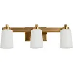 Robert Stevenson Lighting Robert Stevenson Lighting Sullivan Park Frosted Glass and Metal 3-Light Vanity Light Brushed Gold