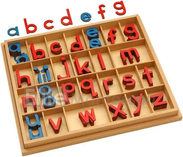 Elite Montessori Wooden Movable Alphabet with Box Preschool Spelling Learning &amp;