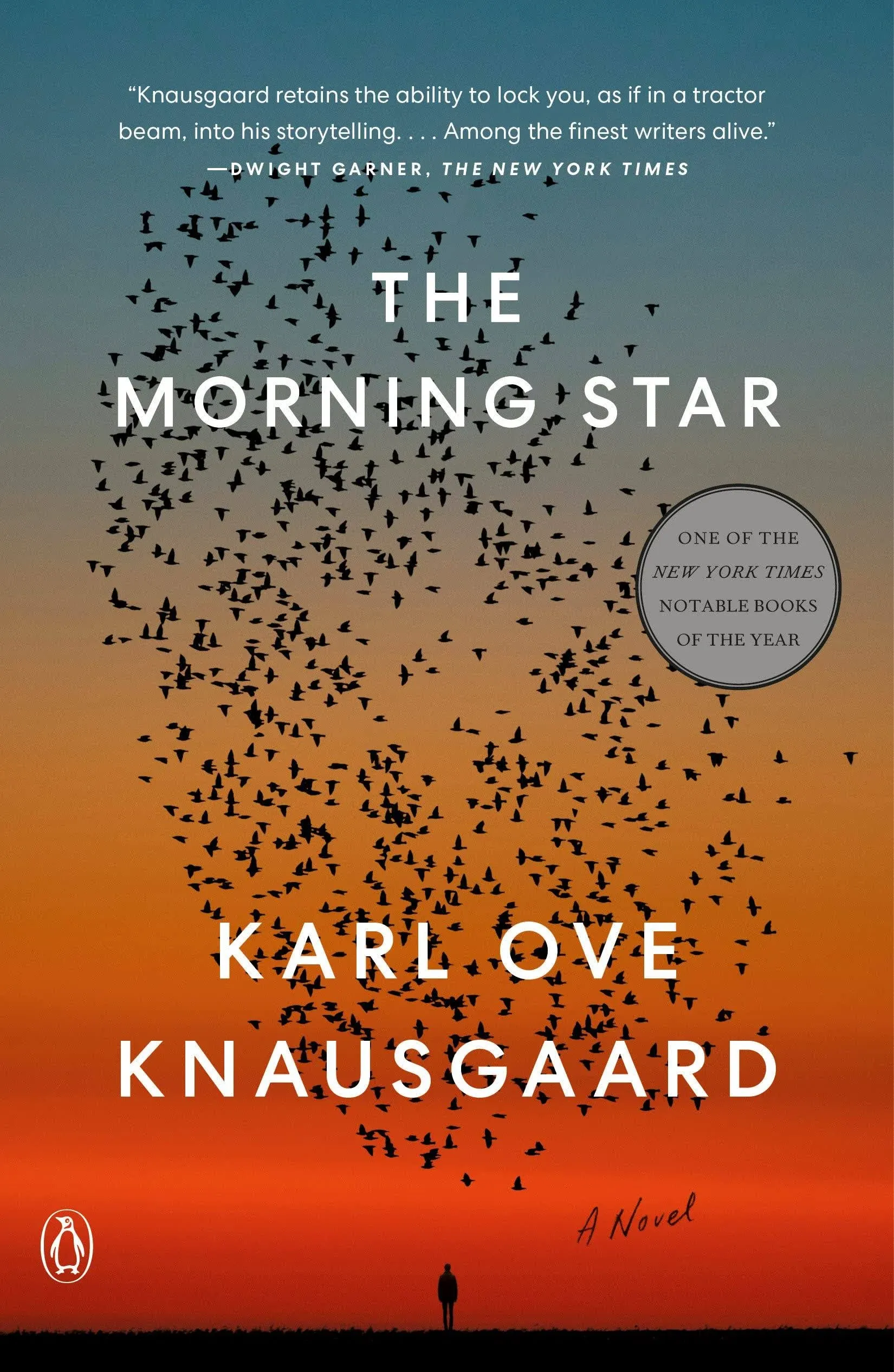 The Morning Star: A Novel [Book]