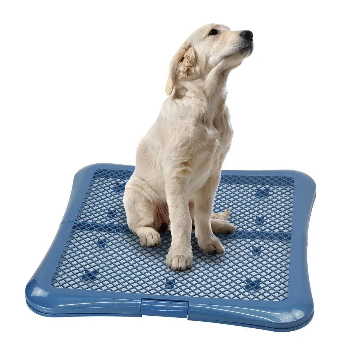 Petphabet Training Pad Holder Floor Protection Dog Pad Holder Mesh Training Tray