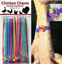 20 Chicken Charm ® Poultry Leg Bands ~Fits Chickens,Geese<wbr/>,Ducks 