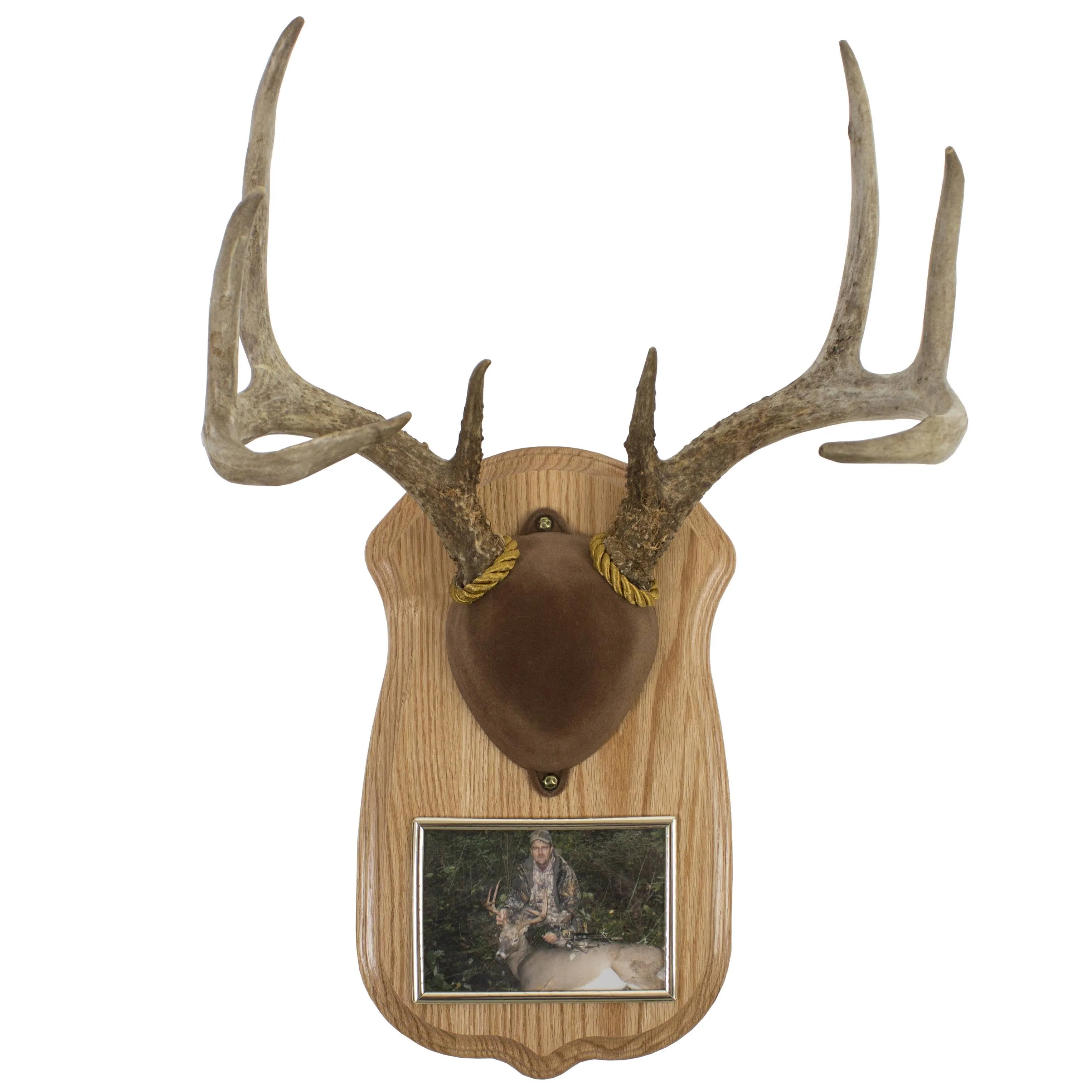 ANTLER DISPLAY KIT with Photo Frame Wall Mount Oak WALNUT HOLLOW COUNTRY