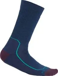 Icebreaker Hike+ Medium Crew Socks Women's