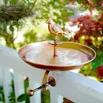 Interchangeable Bronze Butterfly & Bird Bath with Stake & Mounting Clamp