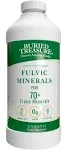 Buried Treasure Colloidal Minerals, Pure - 32 fl oz