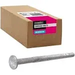 Everbilt Galvanized Carriage Bolt