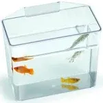 Small - 1 count Lees Specimen Container Convalescent Home for Weak or Injured Fish