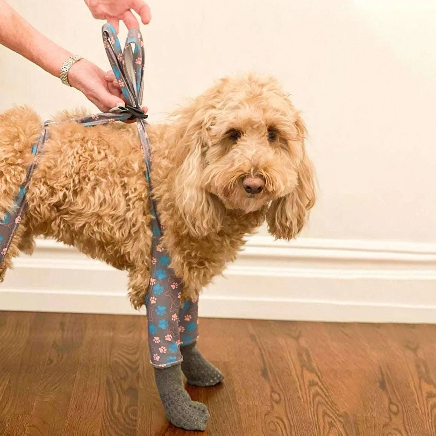 Walkee Paws Indoor Grippy Dog Socks