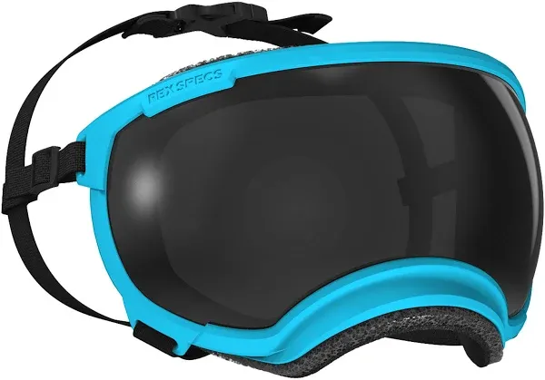 Rex Specs V2 Dog Goggles