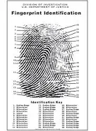 Crime Scene Fingerprint Chart