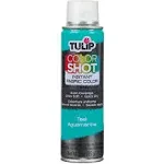 Tulip Color Shot Instant Fabric Color Spray 3oz Teal