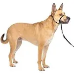 PetSafe Gentle Leader Head Collar BLACK Medium 25-60lbs Dogs w/ Training Guide