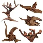 Hamiledyi 5pcs Driftwood Branches Aquarium Wood Decoration Natural Fish Tank Habitat Decor Wood for Lizard Assorted Size,Small