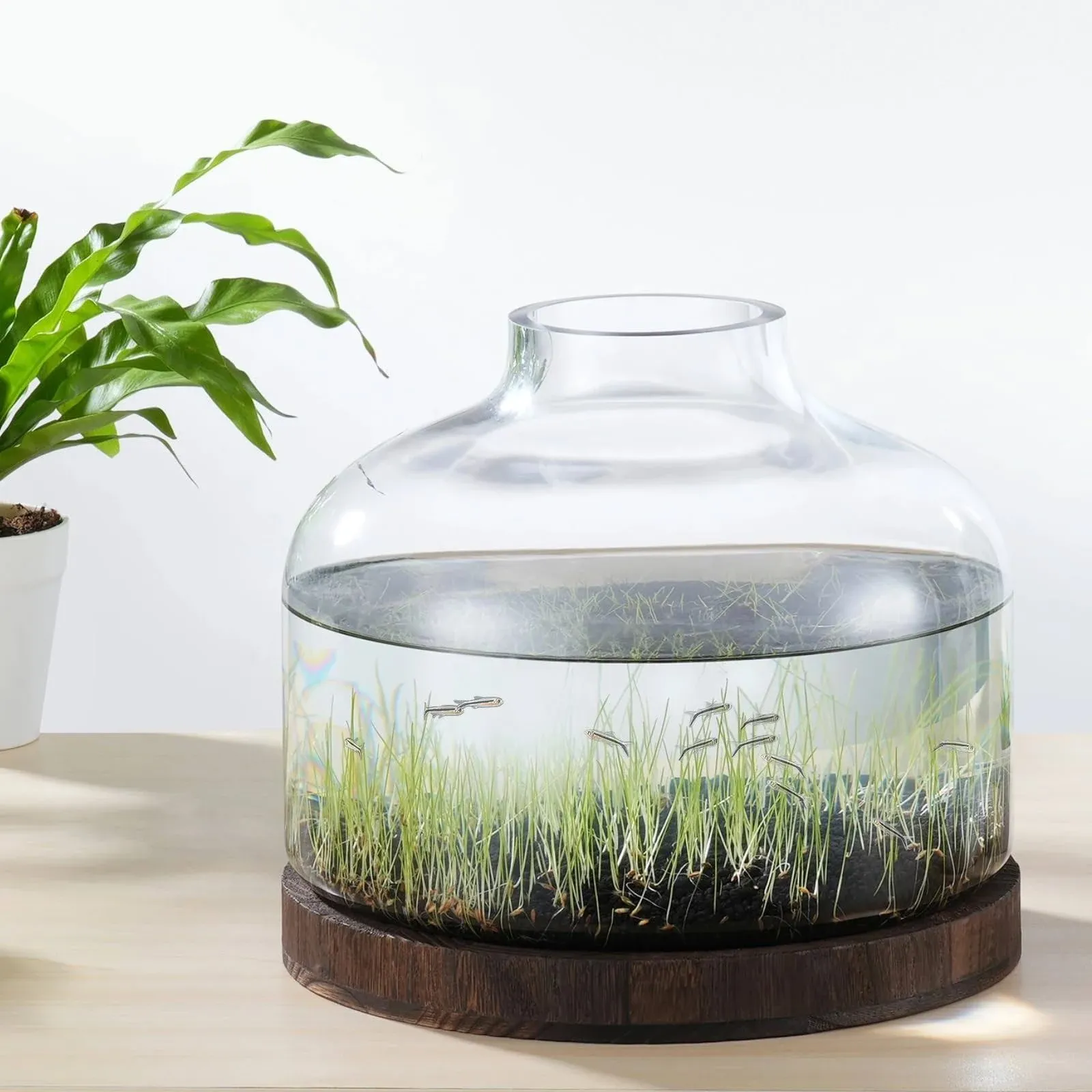 PONDON 1.3 Gallon Fish Bowl Vase, Glass Plant Terrarium Kit, Complete with Wooden Base and Water Changer