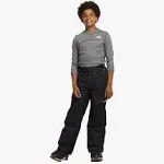 The North Face Boys' Freedom Insulated Pant