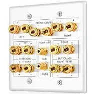 TNP Home Theater Speaker Wall Plate Outlet - 7.1 Surround Sound Audio Distrib...