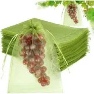 100pcs Fruit Protection Bags