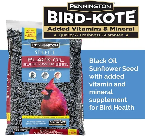 Pennington Select Black Oil Sunflower Seed Wild Bird Feed, 10 lb. Bag