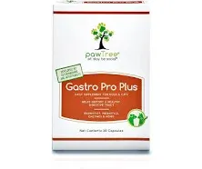 Gastro Pro Plus Probiotics