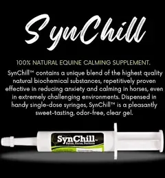 SynChill Oral Horse Calming Gel, 100% Natural & Nutritional Supplement, Lab Proven Results, Designed for Focus & Performance, Approved by Olympic Professionals & Veterinarians, Made in USA - 3-Pack