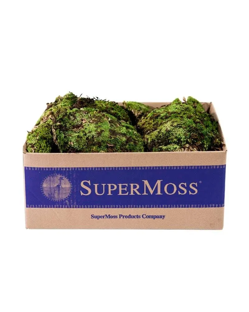 SuperMoss Royal Pool Moss