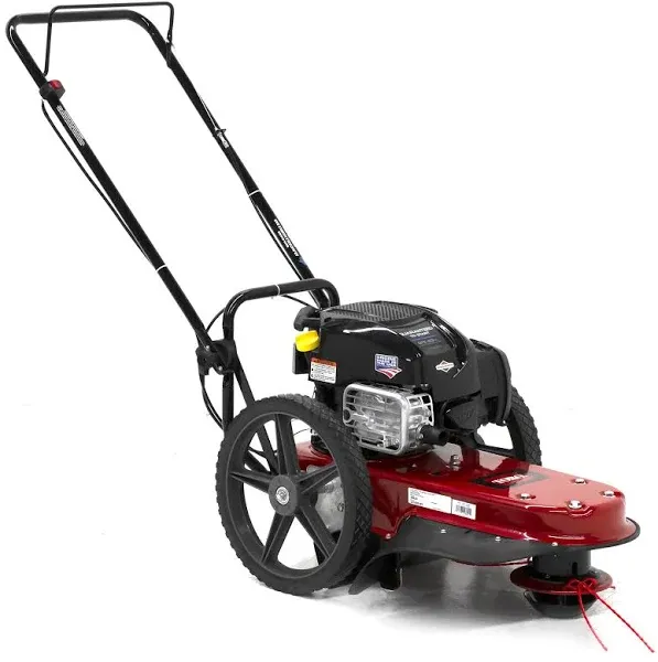 Toro 22 in. 163cc Briggs and Stratton String Mower