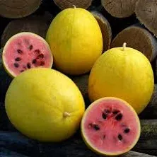 Eden Brothers Watermelon Seeds Golden Midget