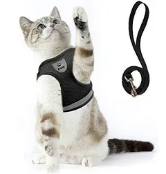 Supet Cat Harness and Leash Set