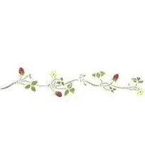 Designer Stencils Small Strawberry Vine Wall Stencil Border