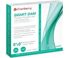 Cranberry Smart Dam Latex Spearmint Scented 5x5 Green