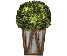 Teamson Home 18.25 in. Solar-Powered LED Pre-Lit Artificial Boxwood Topiary Shru