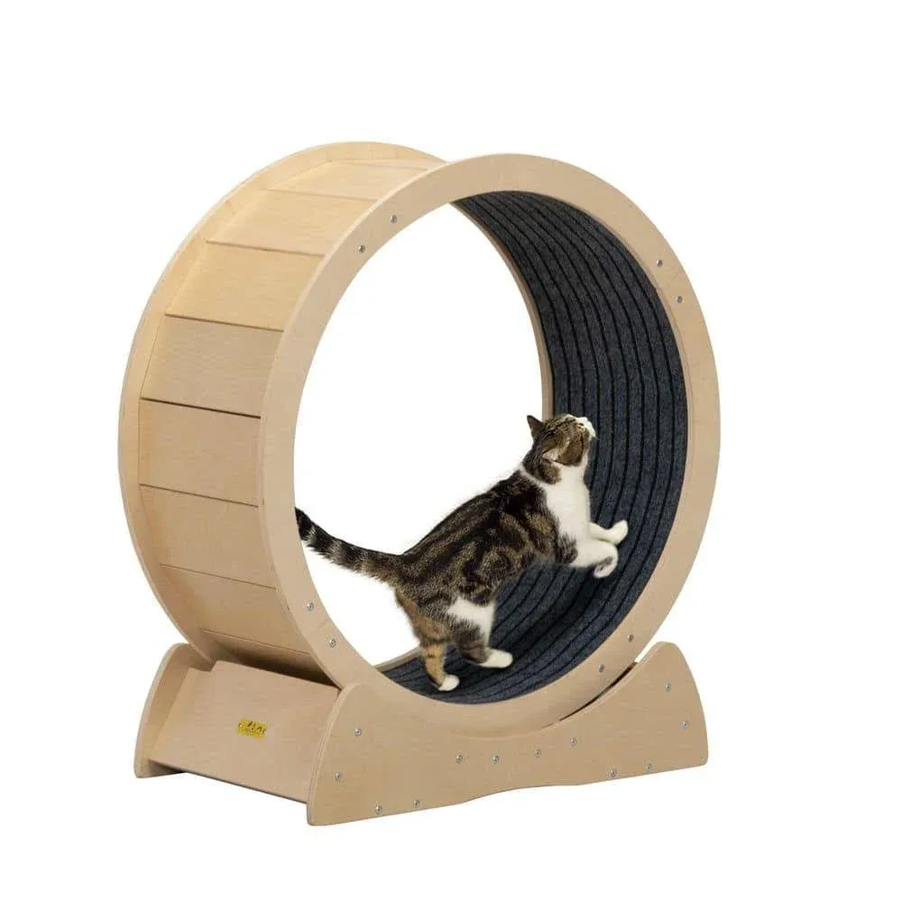 COZIWOW Cat Exercise Wheel