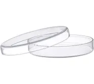 stonylab Glass Petri Dish, 100x20 mm Autoclavable Borosilicate Glass Cell Culture Dish Petri Dish with Clear Lid for Laboratory