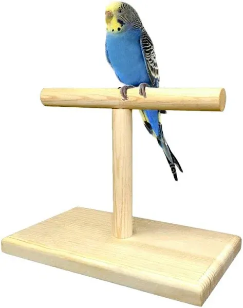 LINSHRY Bird Training Stand, Portable Tabletop Bird Perch Spin Training Perch for Parakeets Conures Lovebirds or Cockatiels