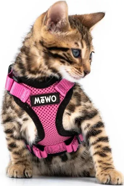 MeWO Kitten Leash and Harness Set - Escape Proof, Reflective, Adjustable for a Safe & Snug Fit - Small Cat Harness and Leash Set Cat Leashes and Harnesses for Walking Outdoors Kitten Harness and Leash