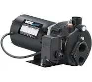 Wayne CWS75 3/4 HP Convertible Jet Well Pump