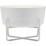 Waggo Matte White Simple Solid Bowl + Dog Bowl Stand, Medium