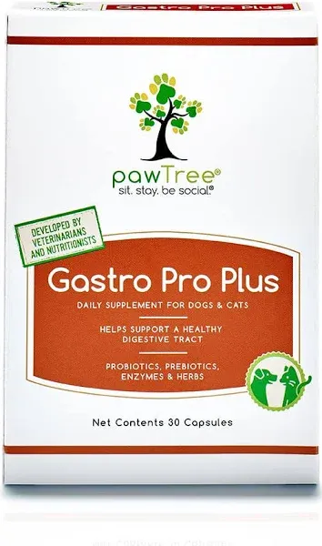 pawTree Gastro Pro Plus - Probiotics and Digestive Enzymes for Dogs and Cats - 60 Count