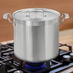 Heavy-Duty Stainless Steel Stockpot with Lid - Versatile - Dishwasher Safe