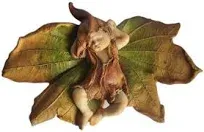 Top Collection Enchanted Story Fairy Garden Sleeping Fairy Baby Outdoor Statue