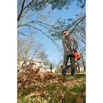 12 AMP 250 MPH 400 CFM Corded Electric 3-In-1 Backpack Leaf Blower, Vacuum & Mulcher