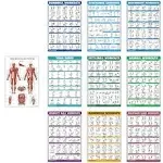 10 Pack - Exercise Workout Poster Set (LAMINATED, 18&#034; x 27&#034;)