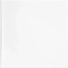 SE-24x24-GW Smooth Economy Lay-in Ceiling Tile, Pack of 10, Gloss White, 10 S...