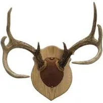 Walnut Hollow Country Antler Mount &amp; Display Kit, Oak , Brown