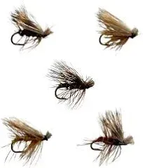 Feeder Creek Fly Fishing Assortment 30 Elk Hair Caddis Flies