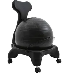 Ergonomic Fit Pro Ball Chair