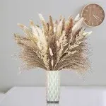 VineTreep Dried Pampas Grass Decor