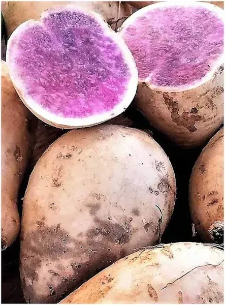 Okinawan Hawaiian Purple Sweet Potatoes